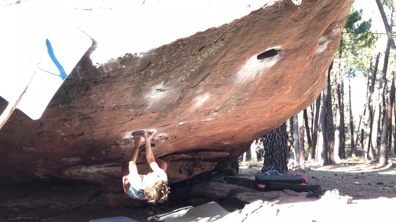 Cosmos, 8a. Albarrac&iacute;n