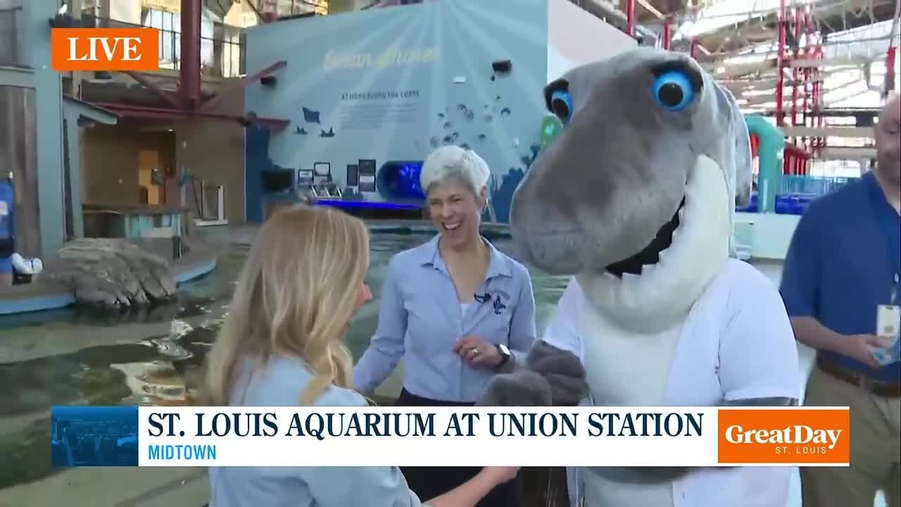 Great Day 4 Kids: Spring Break at St. Louis Aquarium