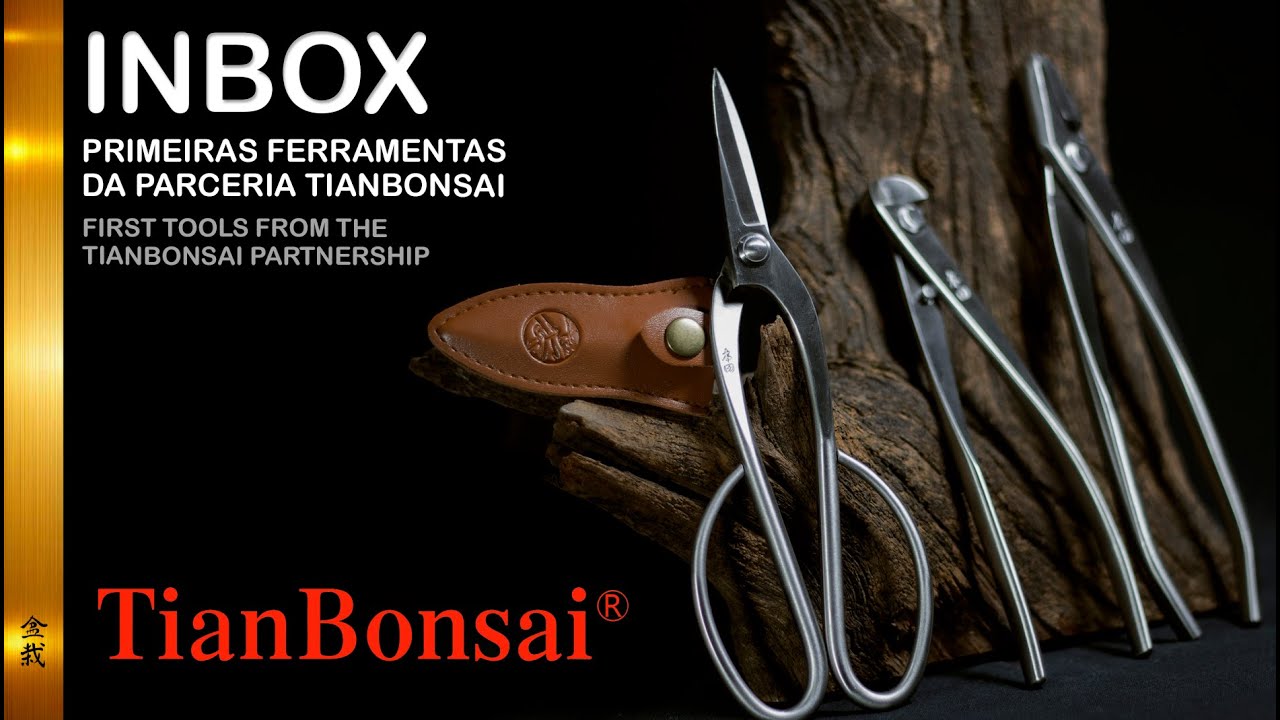 Анбоксинг — Первые инструменты партнёрства TianBonsai