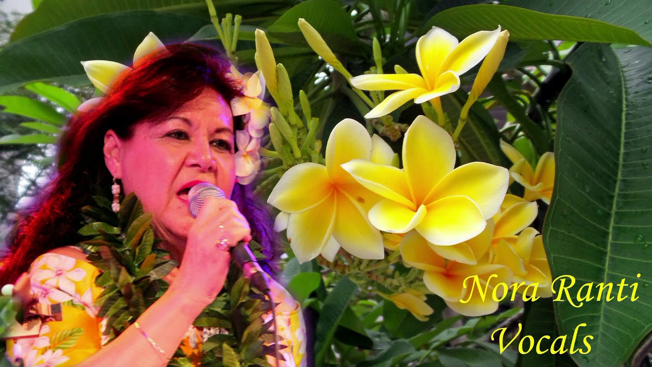 Lief Java   EverLite For Hawaiians with Jan v  Elk on Haw  Guitar & vocals Nora Ranti