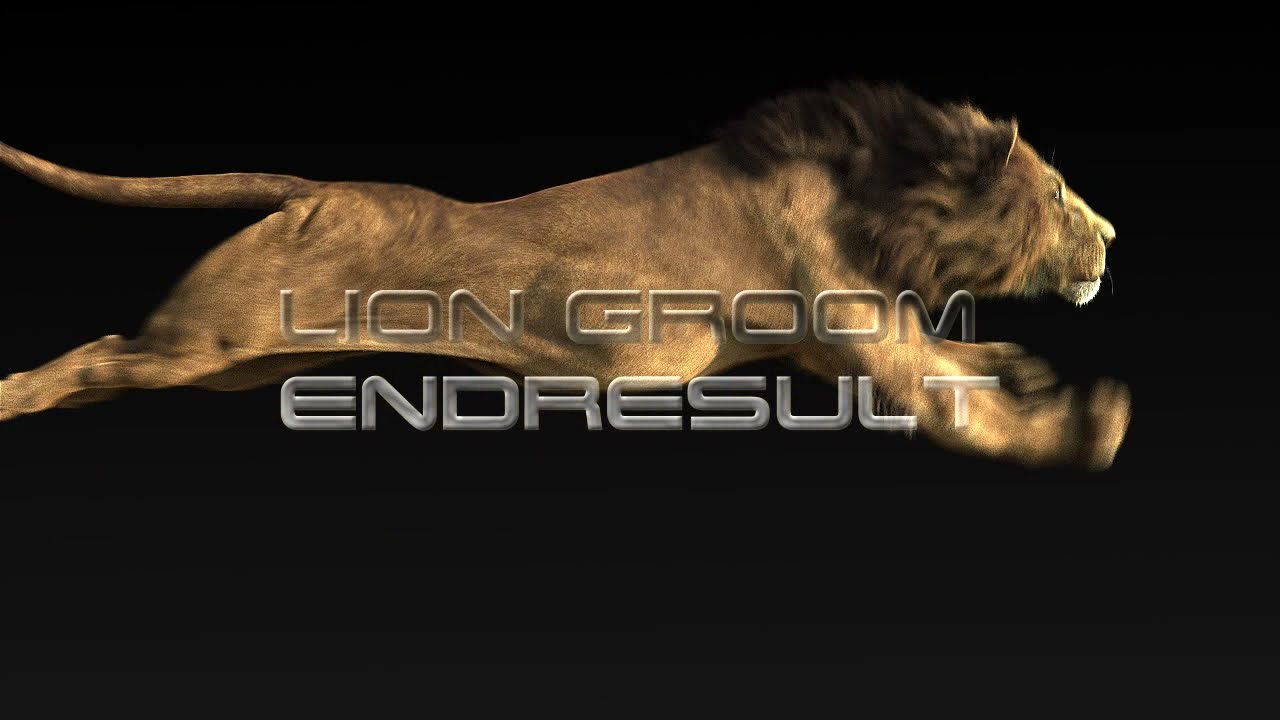 Houdini Muscle Lion Groom - 3D Animation