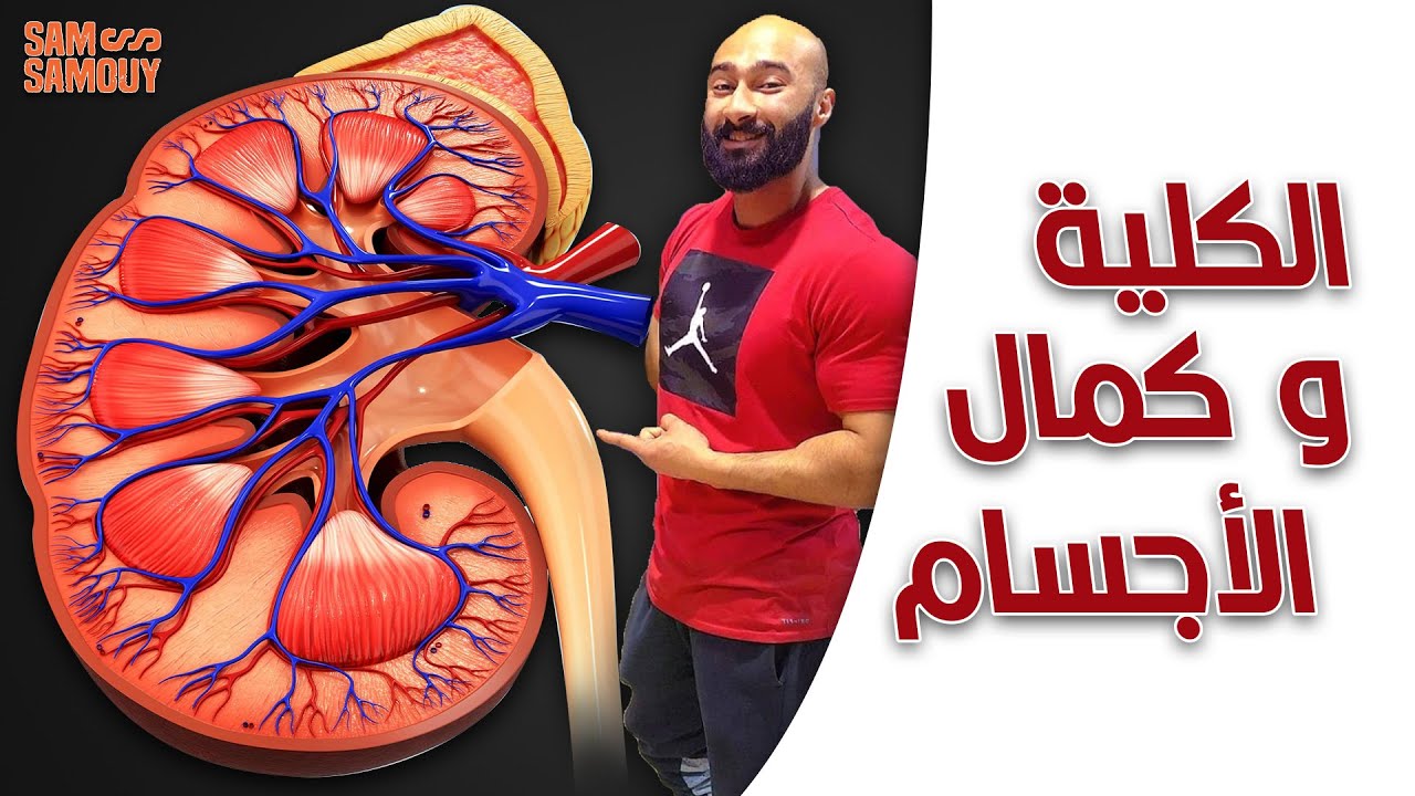 الكلى و كمال الأجسام ! موضوع هام | ساموي