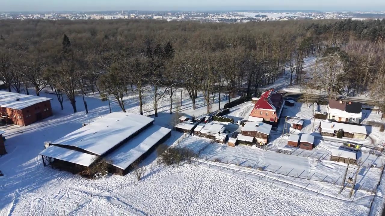 Stadnina w Starogardzie
