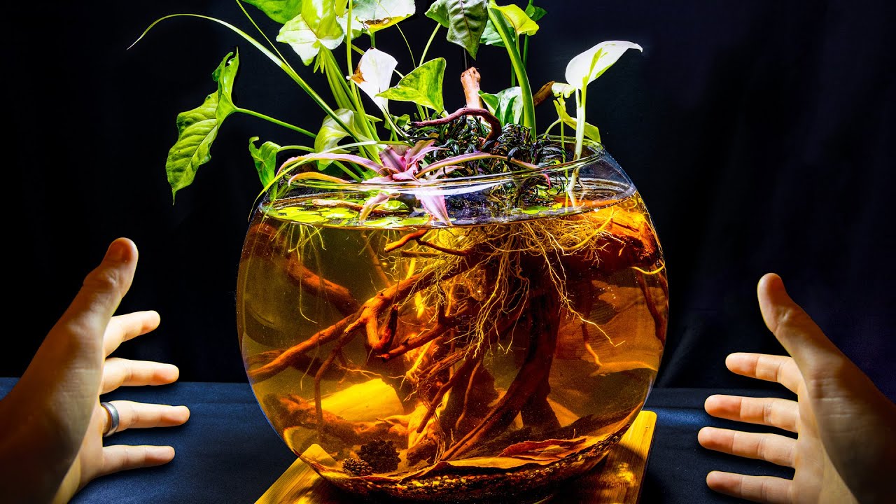 Корневая чаша Micro Crab Riparium (без фильтра, низкотехнологичная)