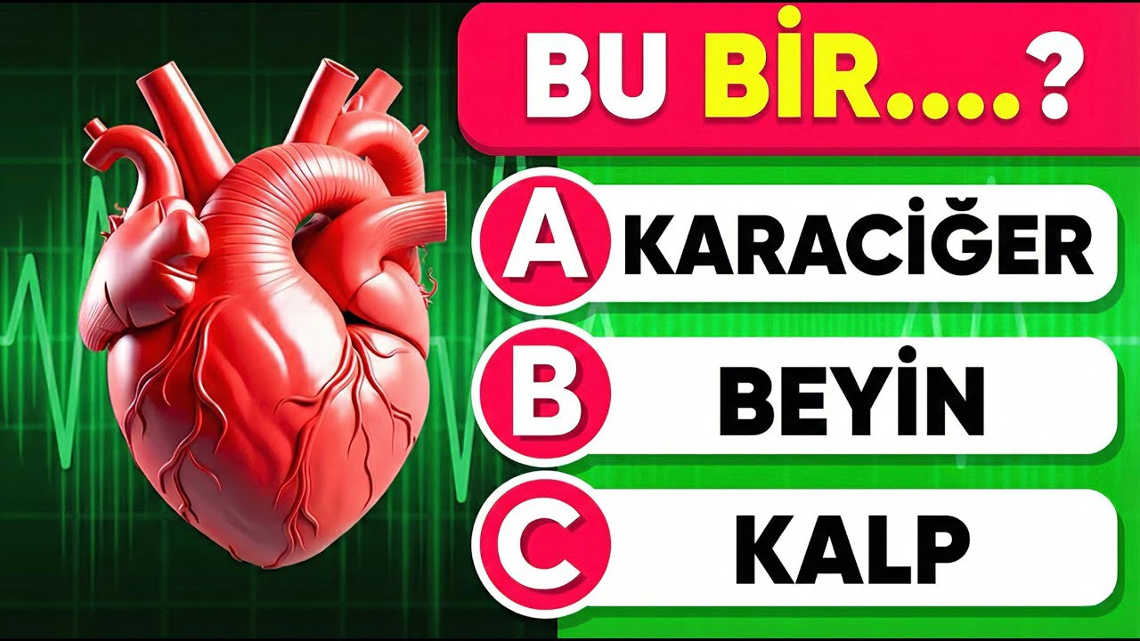 İnsan Vücudu Testini Geçebilir misiniz? 🧠 61 Soruluk Bu Anatomi Testine Katılın! 📚📚