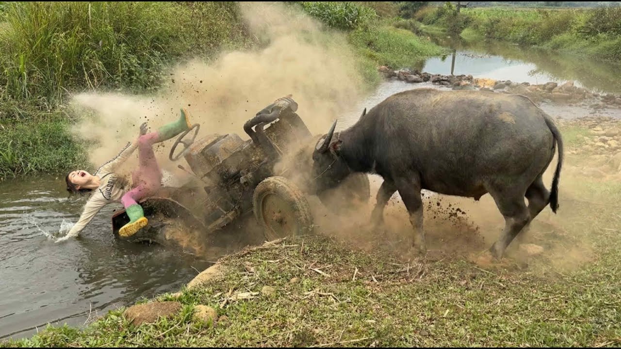 Can she repair the D2650 tractor that was flooded?
