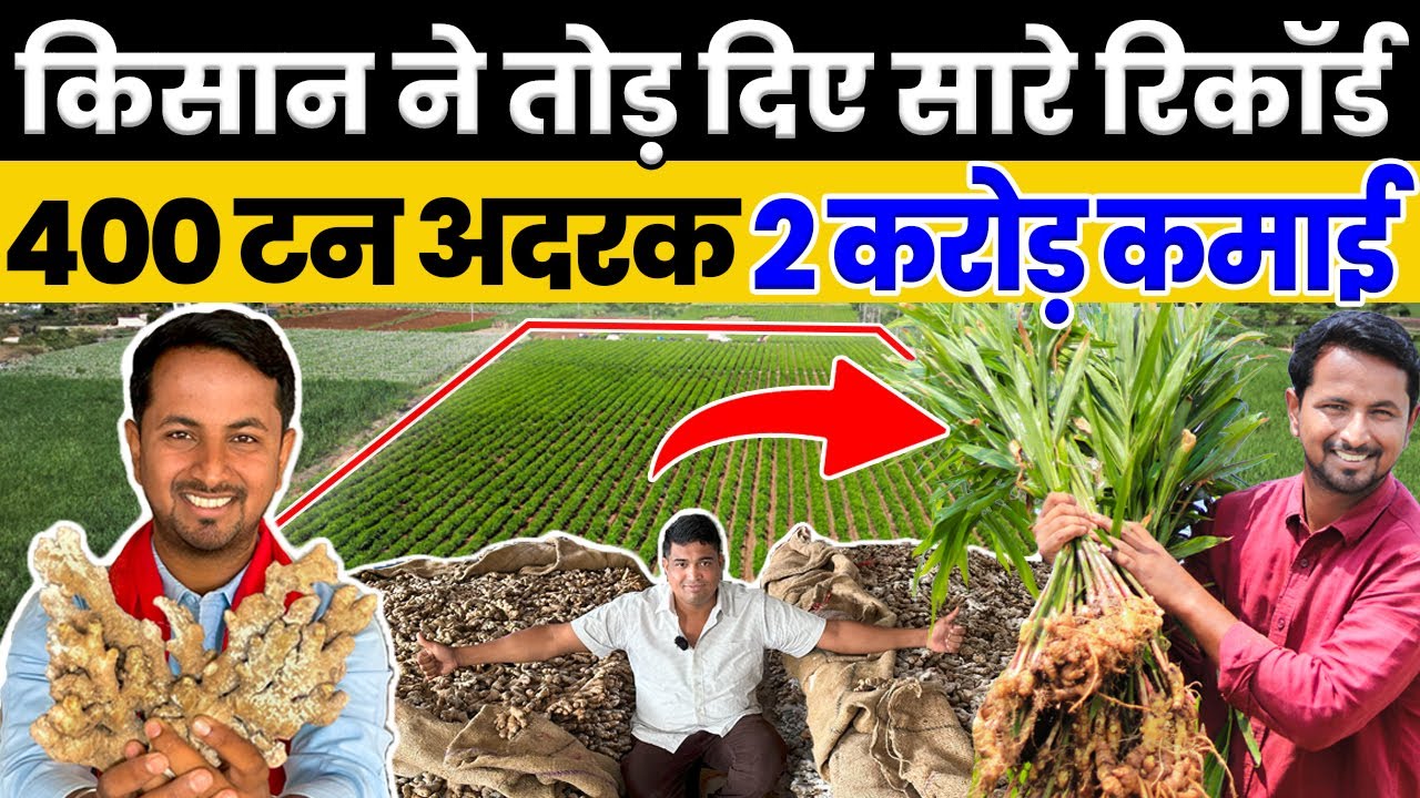22 एकड़ Ginger Farming मैं बंपर कमाई💯💰एक एकड़ में होगा इतना Profit💰Indian Farmer