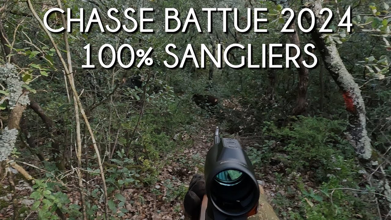 CHASSE BATTUE DE SANGLIERS 2024 (Vaucluse et Gard 100% Sangliers)