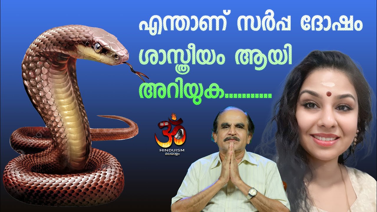 എന്താണ് സർപ്പ ദോഷം ശാസ്ത്രീയം ആയി അറിയുക! | ലക്ഷ്മി കാനാഥ്