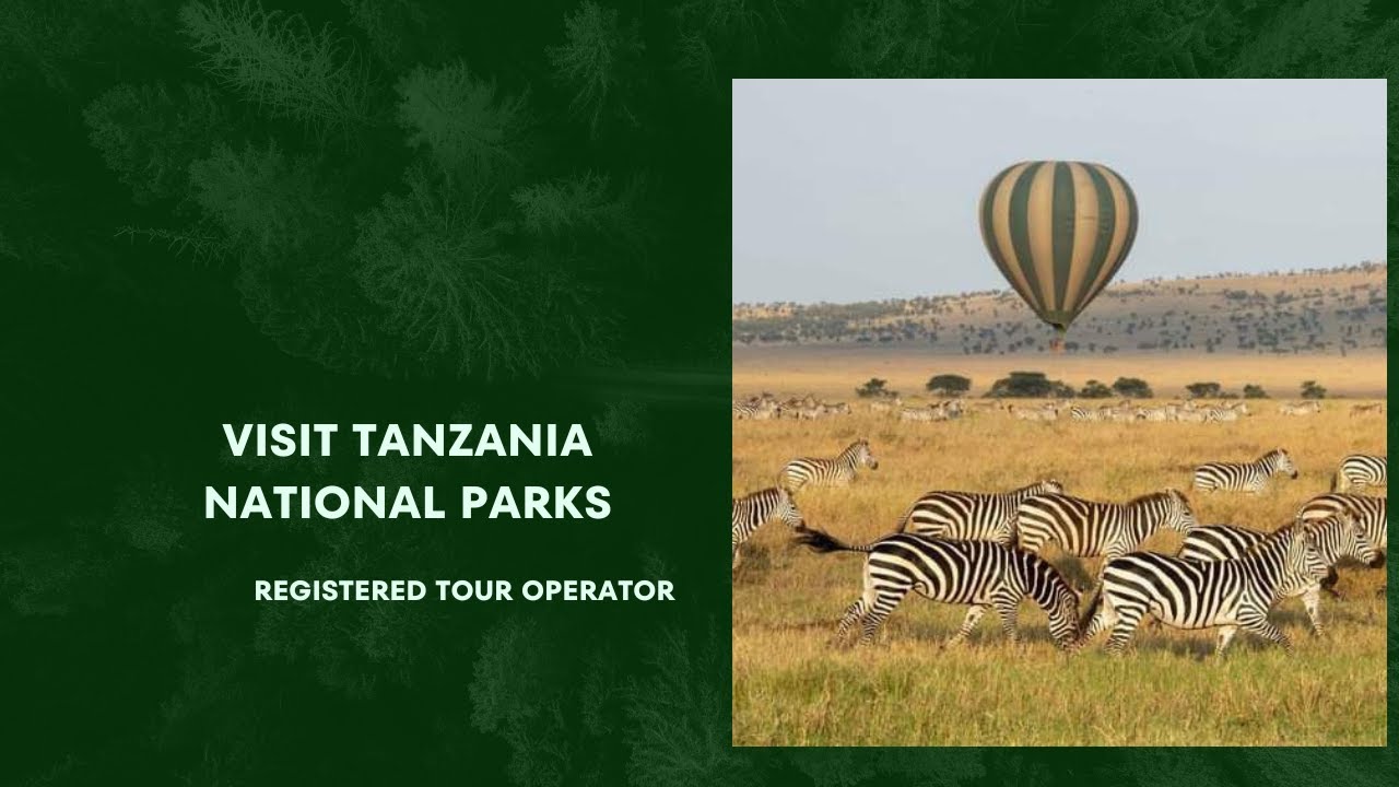 Ngorongoro Creta