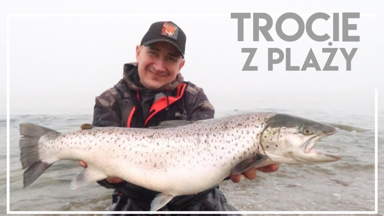 TROCIE Z BAŁTYCKIEJ PLAŻY