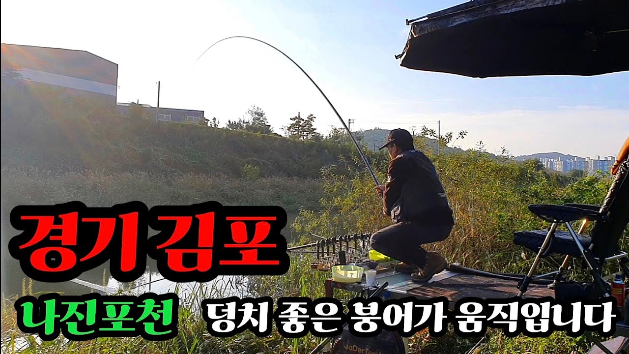 경기 김포/비가오고 찬바람이 불어오면 덩치큰 녀석들이  올라탄다/나진포천