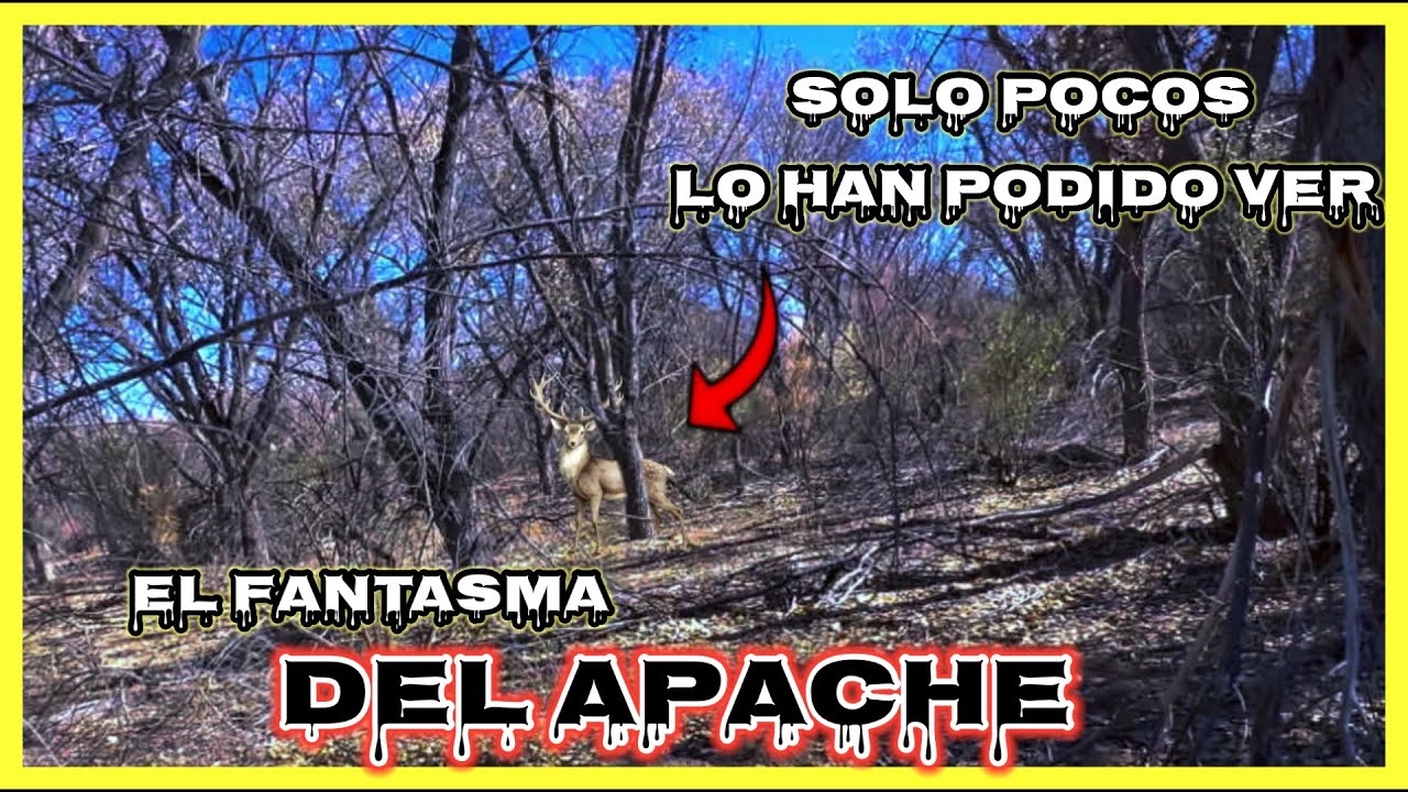 EL FANTASMA DEL APACHE logramos captarlo #alextremo #aventuras #naturaleza 