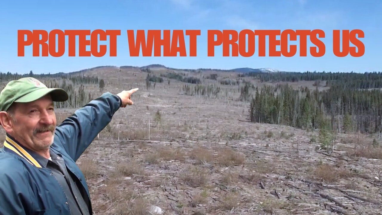 The New Forest Act for BC Is Gaining Ground - 5 MLAs Just Heard Us