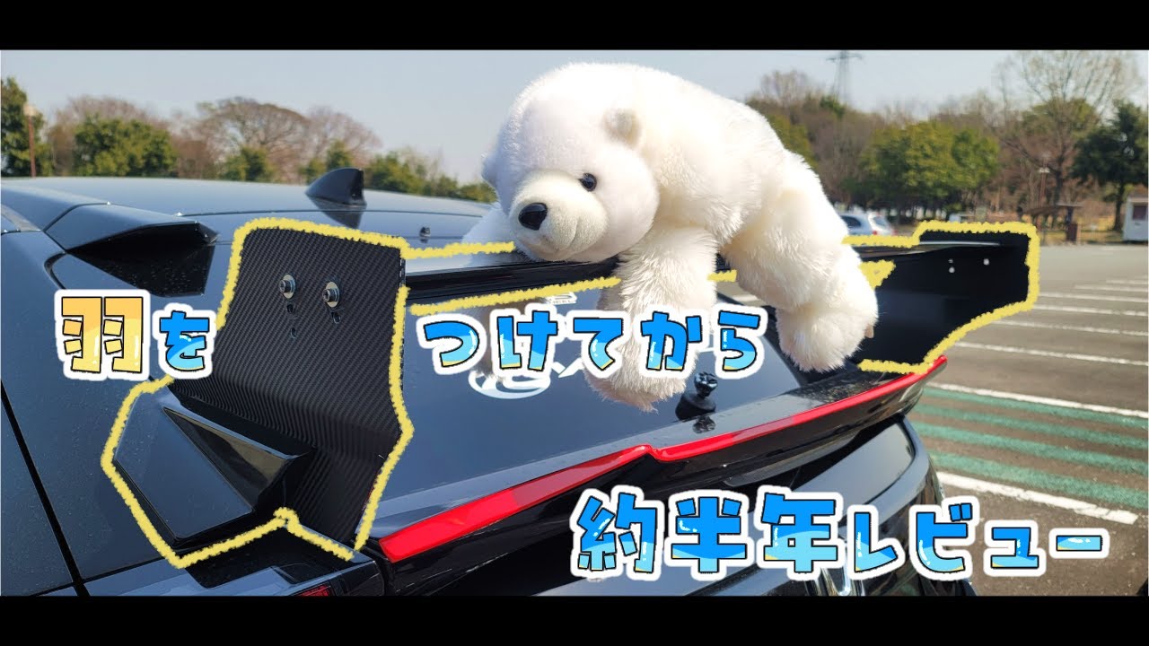 【レビュー】半年前に授けた翼(ウイング)は今…‼🐻‍❄️#シビック #civic #fk7 #ぱうぱう#リアウイング #カスタム #hondacivic