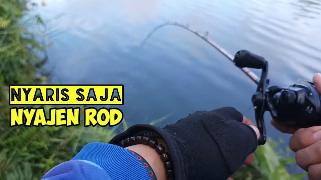 CASTING HARUAN DI DANAU KALIMANTAN || SAMBARAN IKAN GABUS BESAR, JORAN HAMPIR PATAH