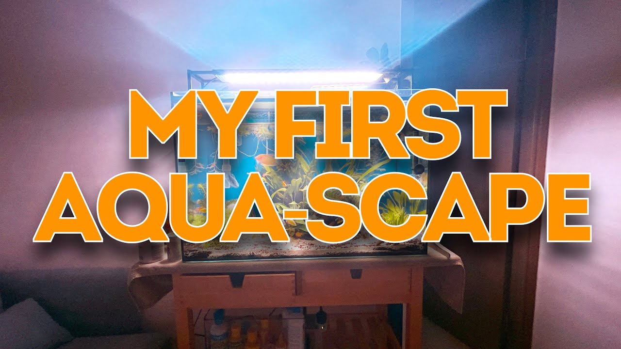 My First Aqua-scape (Part 1)