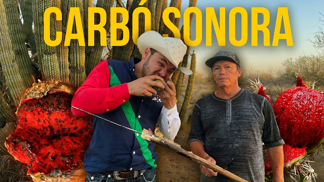 CARBÓ SONORA | Uno de los principales productores de la PITAYA SONORENSE