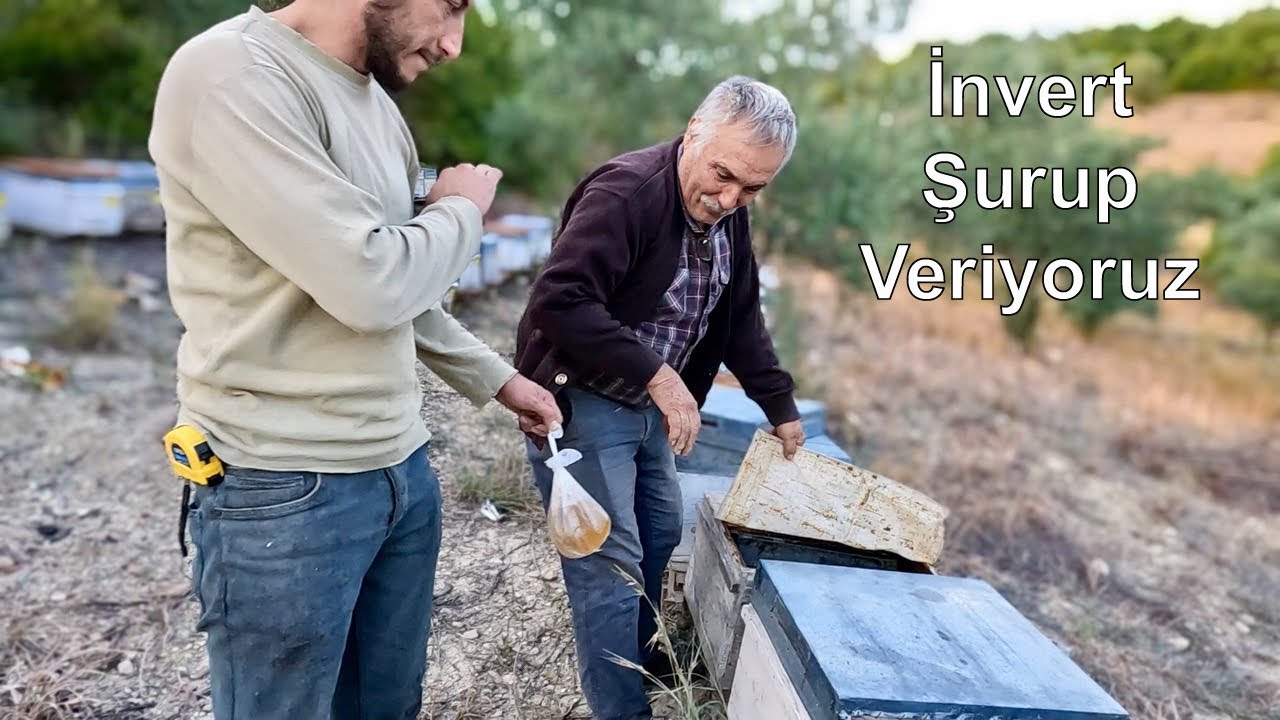 Arılara  İnvert Şurup Verdik / Arıcılık