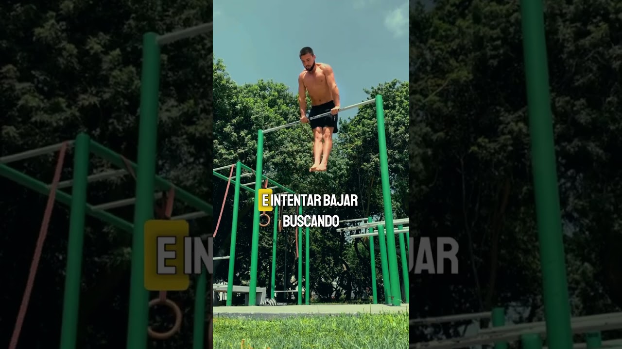 Ejercicios b&aacute;sicos - Bar dips - #bardips #muscleups #pullover #calistenia