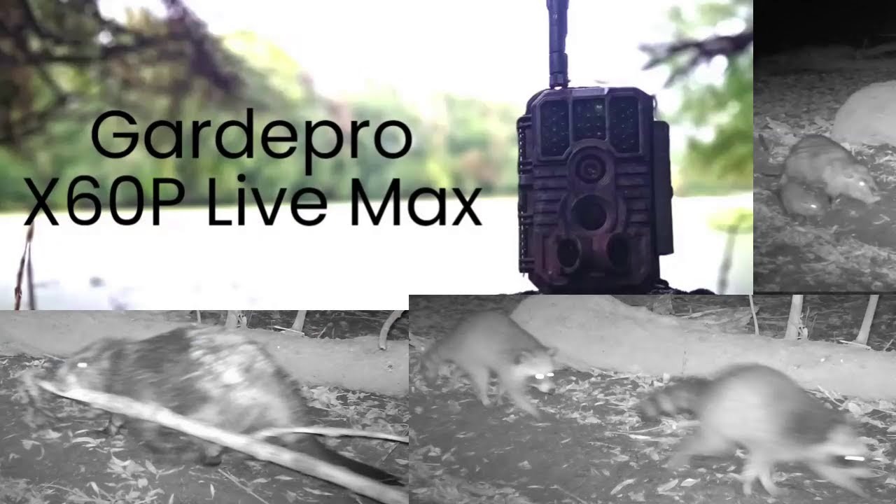 GardePro X60P Live Max - Vorstellung & Test der 4g Funkkamera