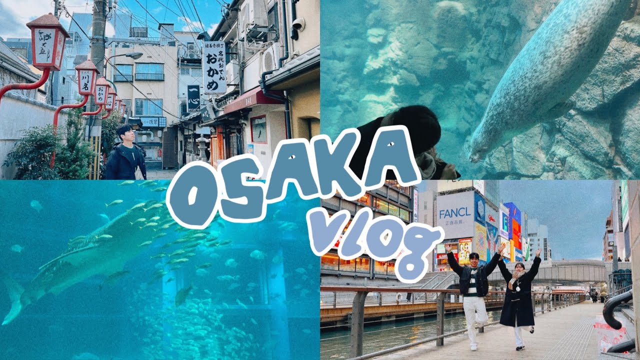 오사카 여행 브이로그 ① 🇯🇵 | 가이유칸 고래상어 피딩 보기 🐋 &bull; 도톤보리 먹방  ( ◜⤙◝ )🍜🍡 &bull; 도톤보리 숙소 추천 🏡