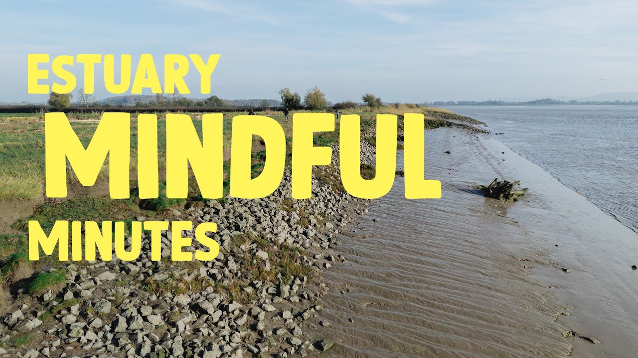 Take a minute and relax by the river | Mindful minute | WWT