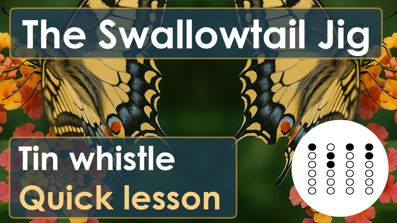 Learn The Swallowtail Jig on Tin Whistle | Quick Lesson with Tabs (Irish Tune)