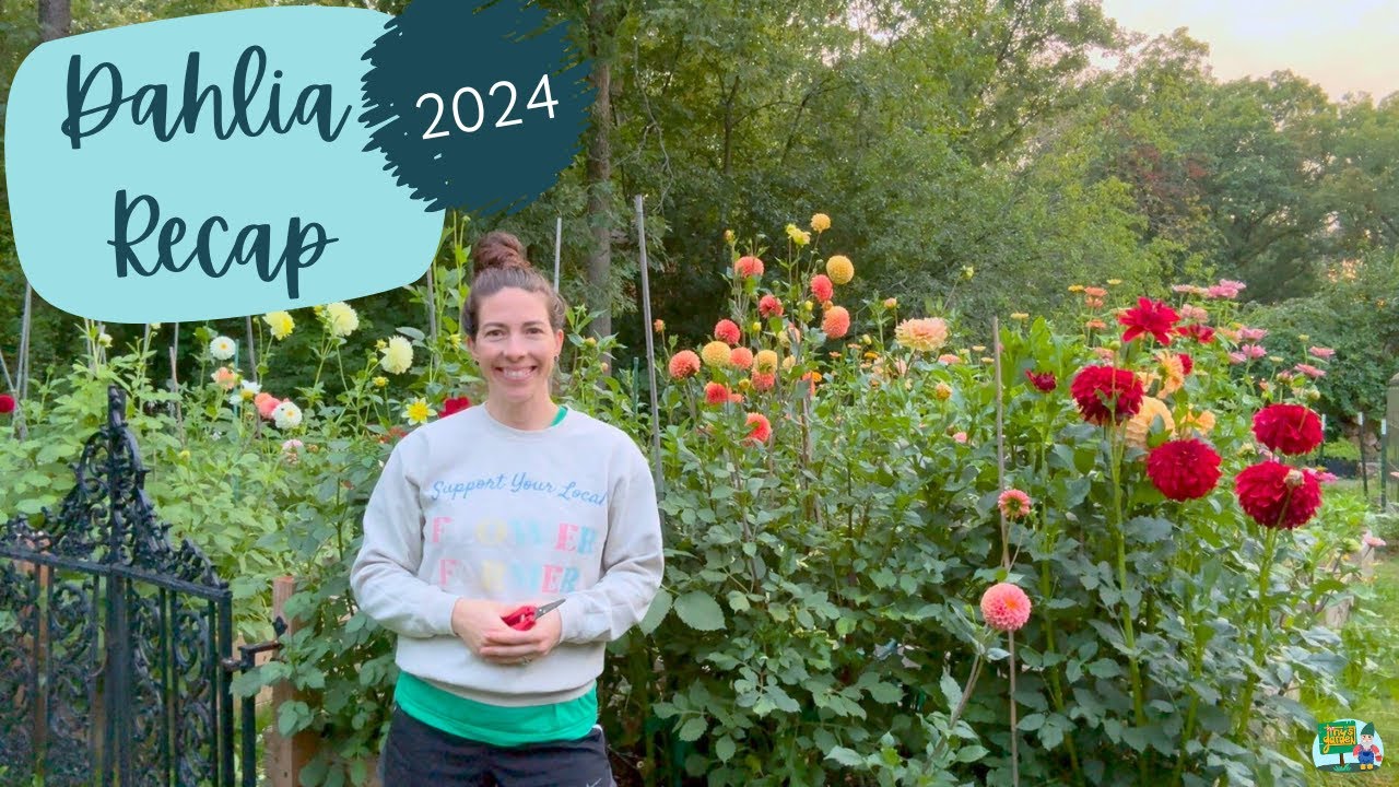 From Dahlia Disaster to Beautiful Blooms...My Dahlia Recap for the 2024 Season Including Favorites!