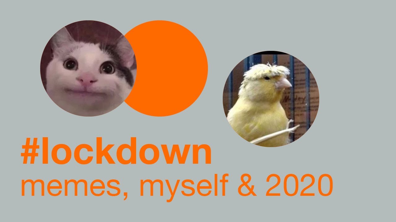 2020 lockdown and quarantine memes