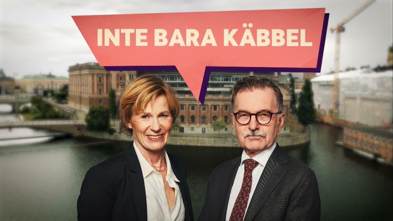 Självkritikbrist, broderfolket och tonårsdottern – Inte bara käbbel… | TV4Nyheterna | TV4 & TV4 Play