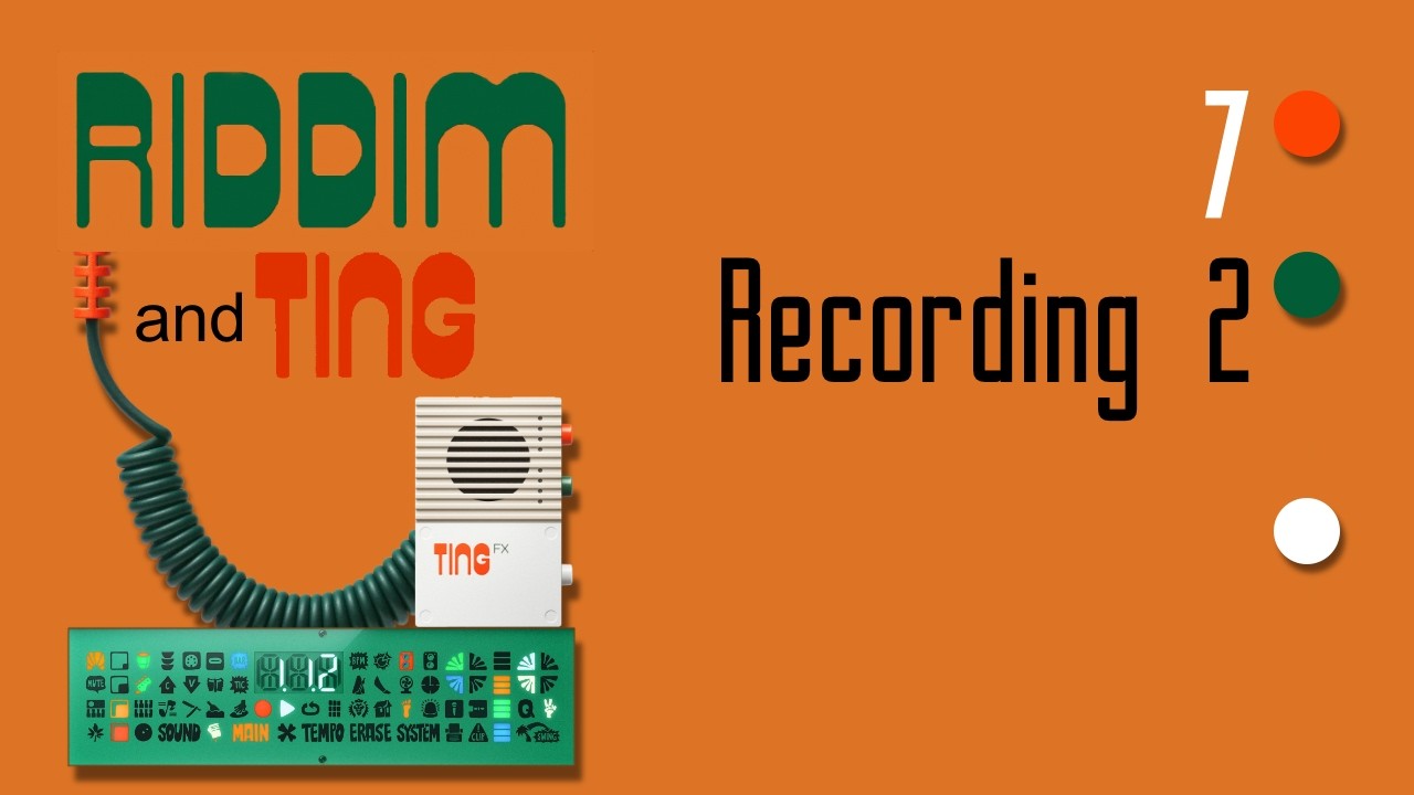 Teenage Engineering EP-40 Riddim - Tutorial 7 Recording [2]
