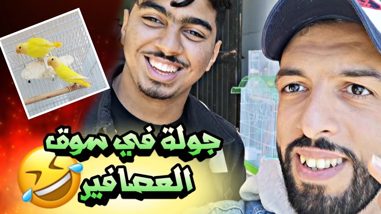 أحسن جولة في سوق العصافير بمراكش 😂 أثمنة طيور الزينة و المغردة 🔥 زيارة مولوع 😍