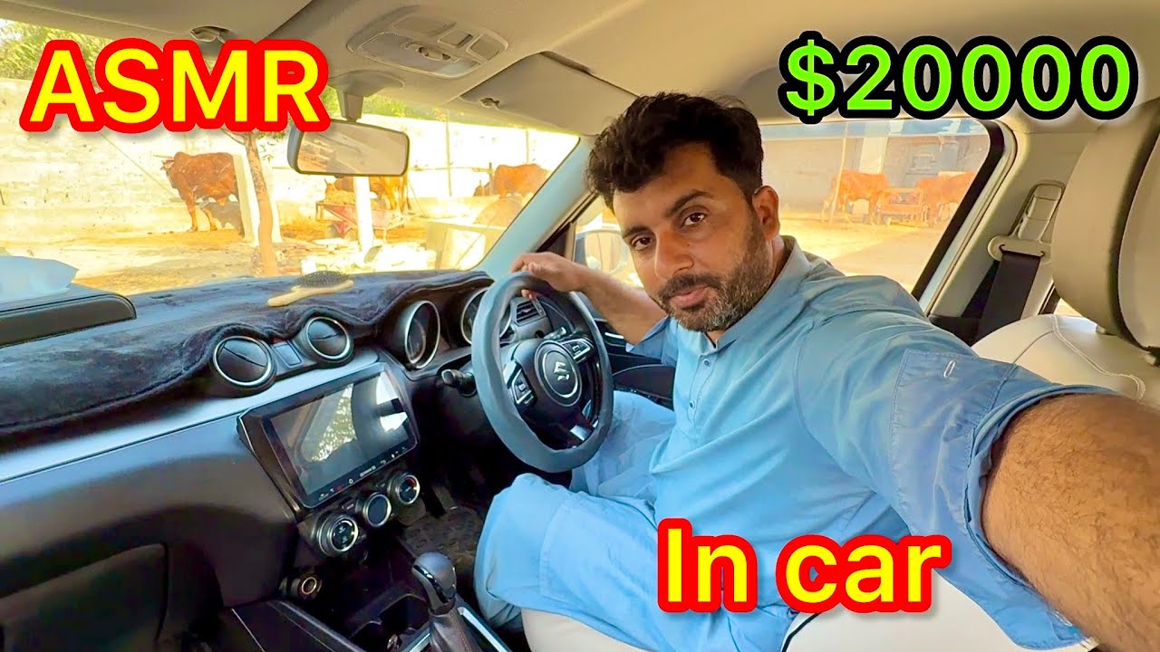 ASMR in $20000 my cousin car | ASMR in my favourite car