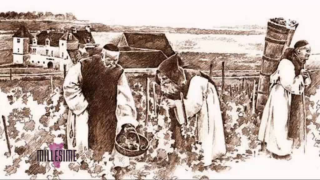 Millésime - Balade en Côte de Nuits