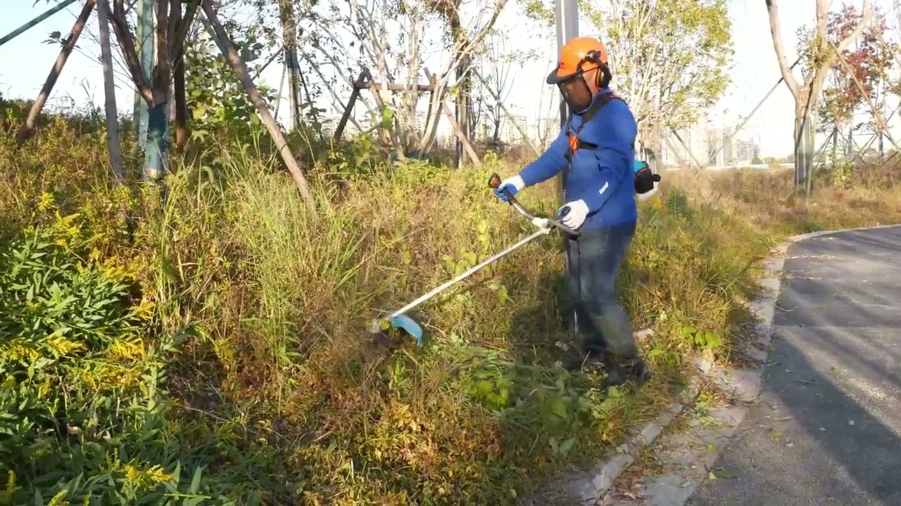 EMAS FS250 Gasoline Brush Cutter Grass Cutter