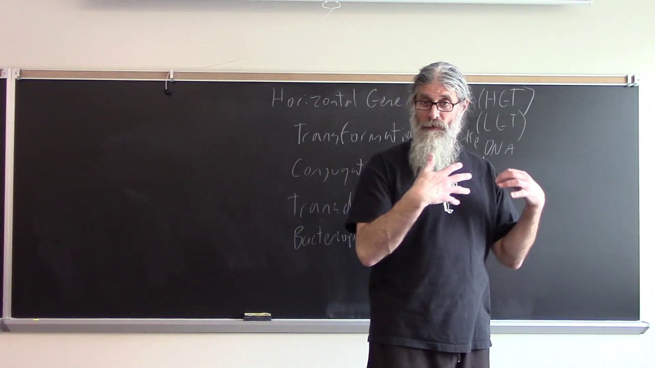 Horizontal Gene Transfer