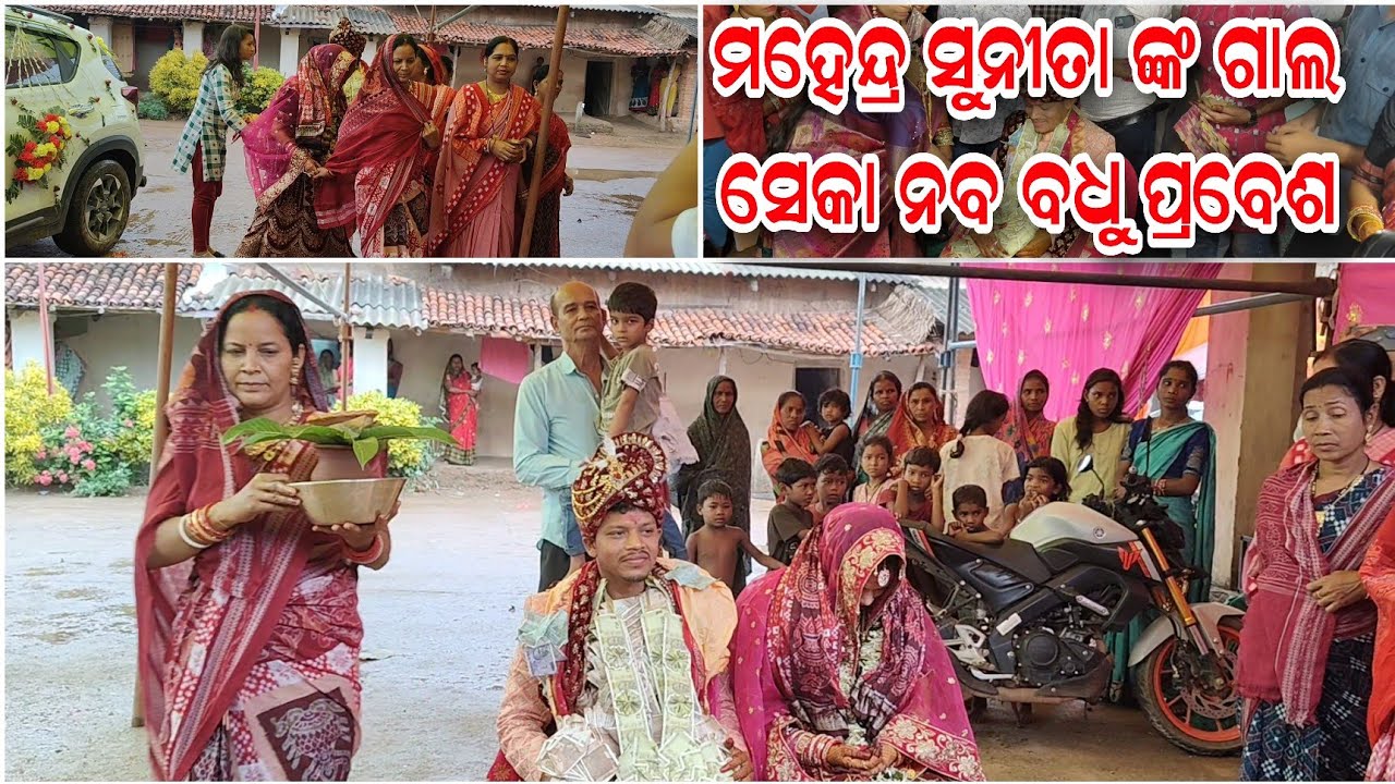 ନୂଆଁ ବହୁ ସୁନୀତା ଙ୍କୁ ଘର କୁ ଆଣିଲେ ମହେନ୍ଦ୍ର ଗାଲ୍ ସେକା ବଧୂ ପ୍ରଵେଶ