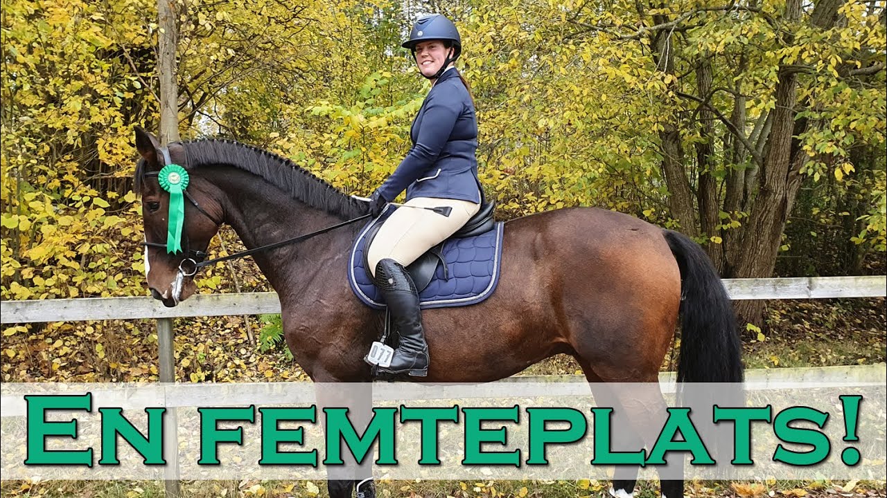 FOCUS FÖRSTA PLACERING! Tävlingsvlogg ♥