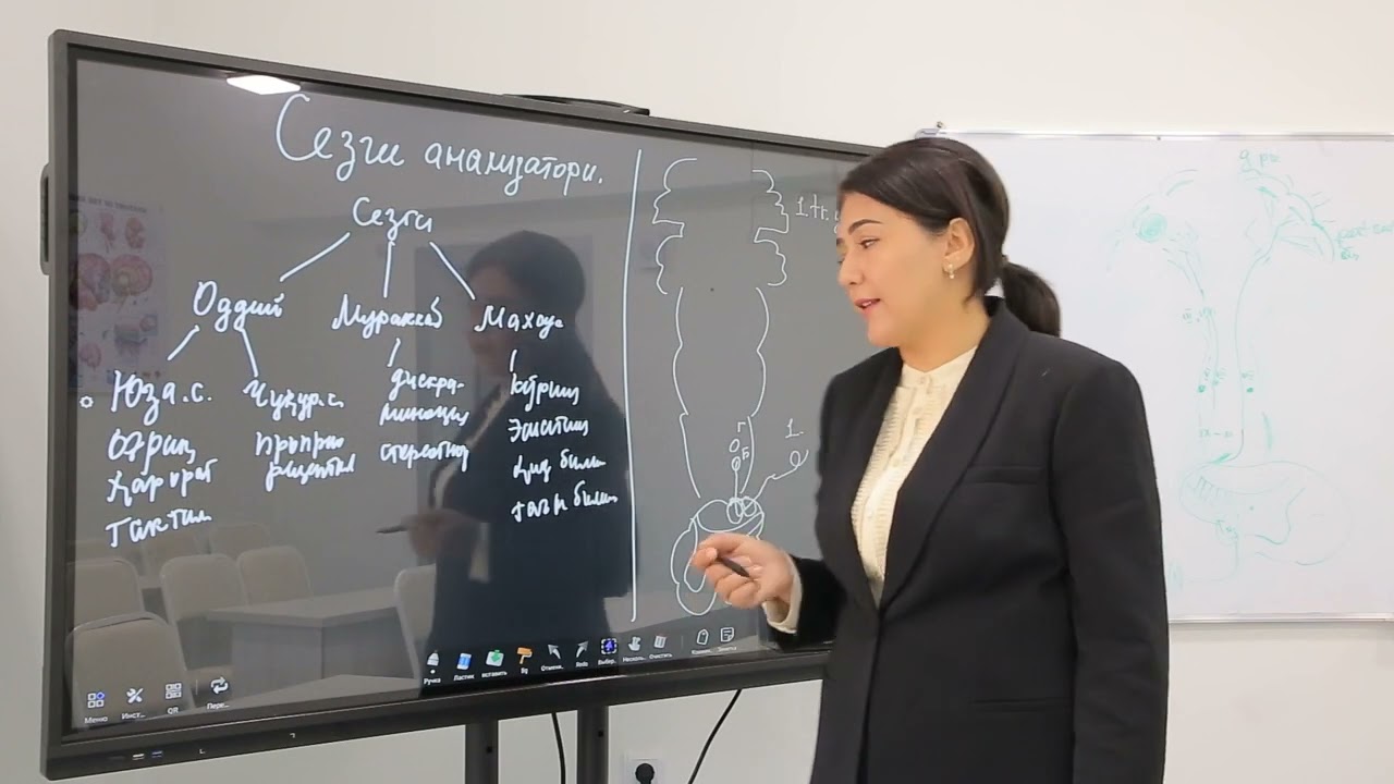 Sezgi analizatori