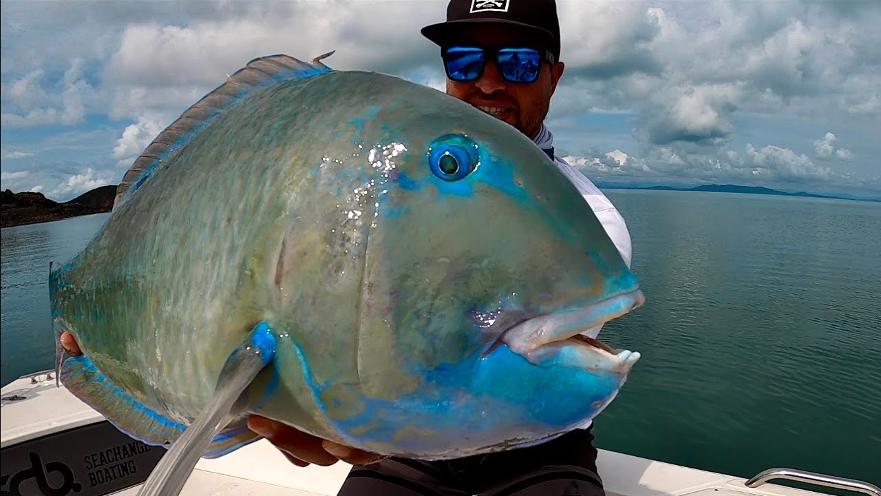 Ultra Shallow water fishing