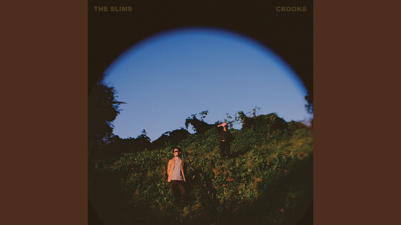 Crooks