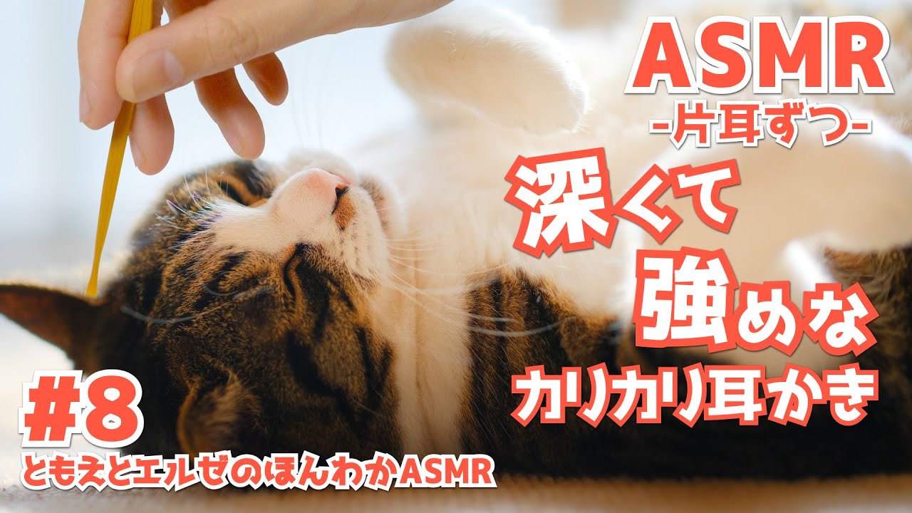 【ASMR】深くて強めなカリカリ耳かき-片耳ずつ-#08【声なし/No Talking】