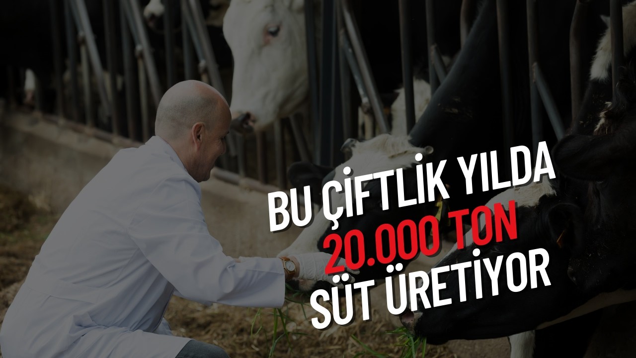 BU ÇİFTLİK TÜRKİYENİN YILLIK SÜT İHTİYACININ 2 GÜNLÜK KISMINI KARŞILIYOR I ÇİFTLİK AKADEMİ