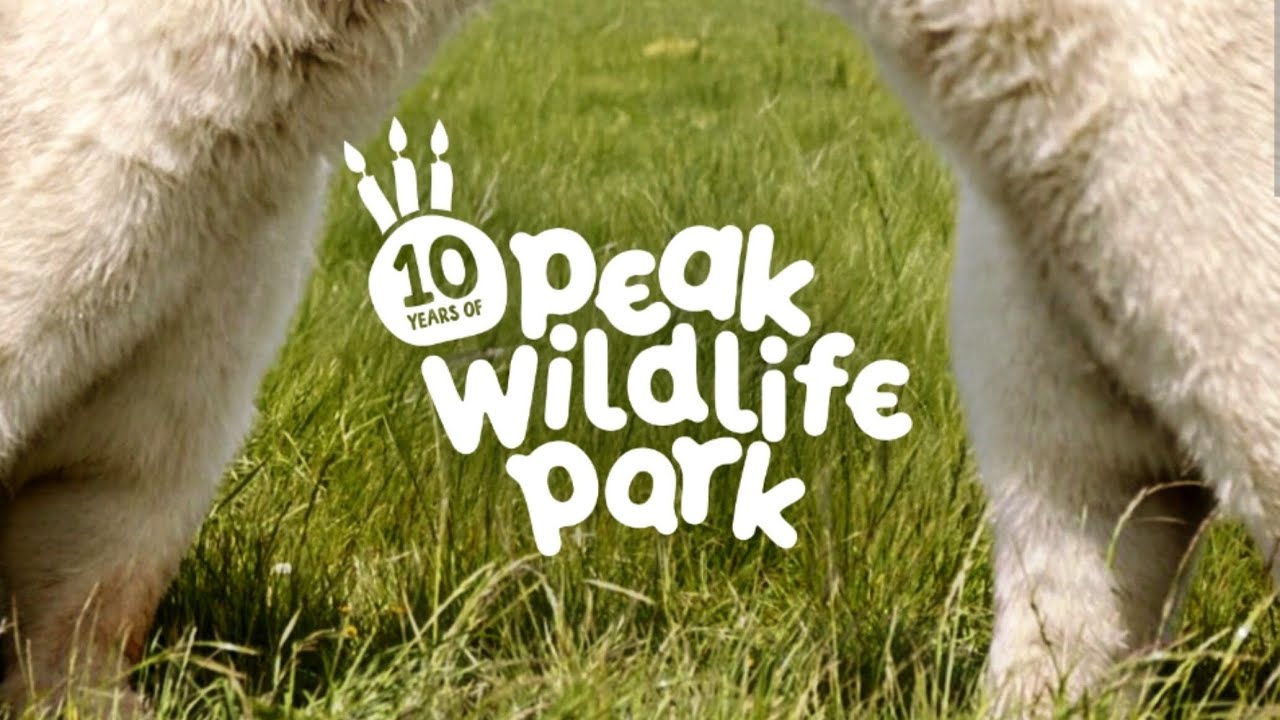 Our fantastic day out to @peakwildlifepark2015 ❤️ #zoo #animals #wildlife #tourism 