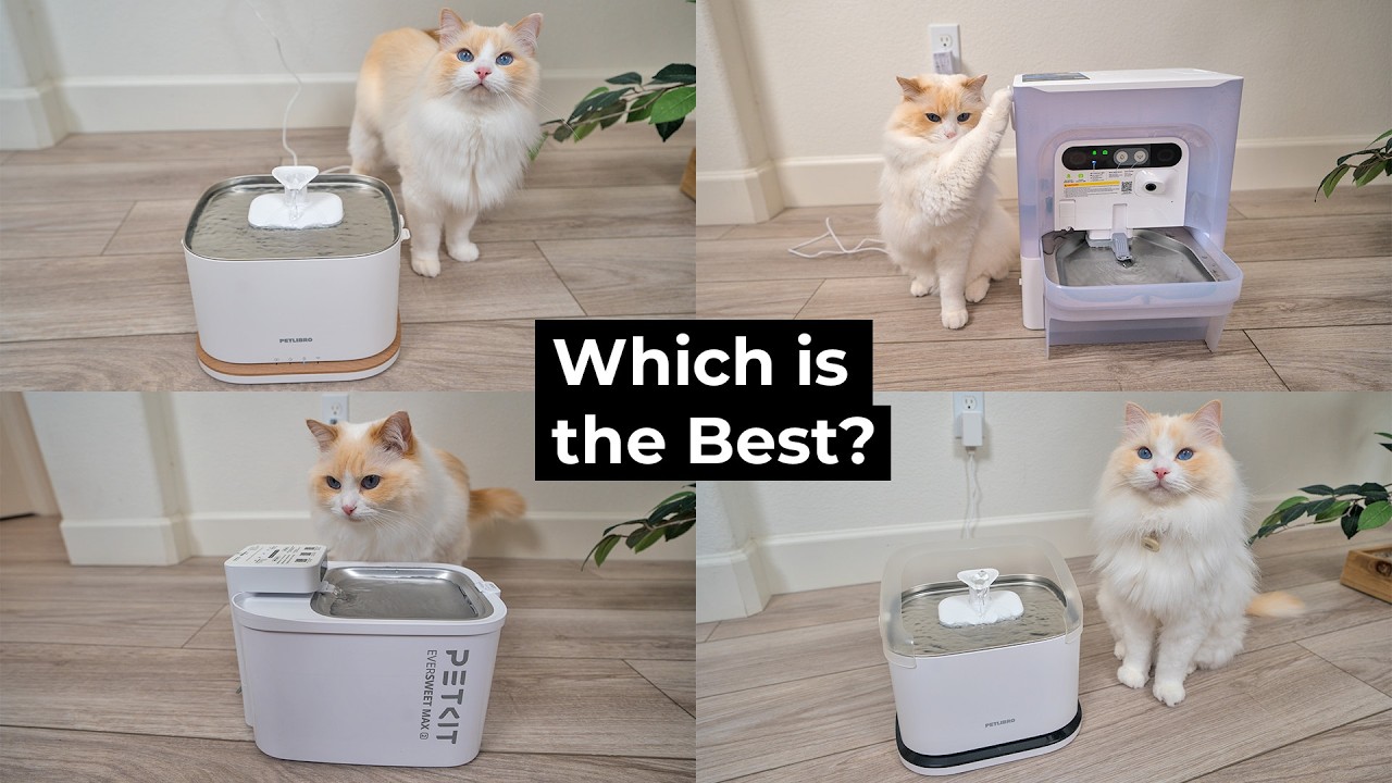 Какой лучший фонтанчик для кошек в 2026 году? | The Cat Butler
