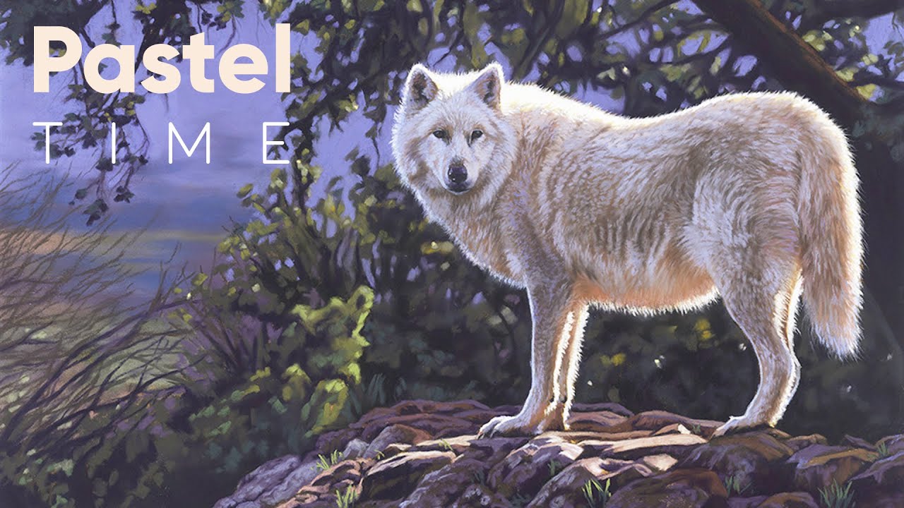 Hudson Bay Wolf in Soft Pastel - Timelapse
