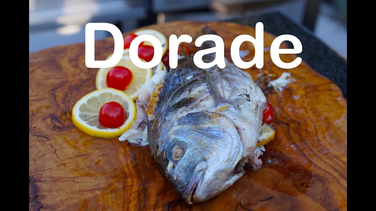 Dorade