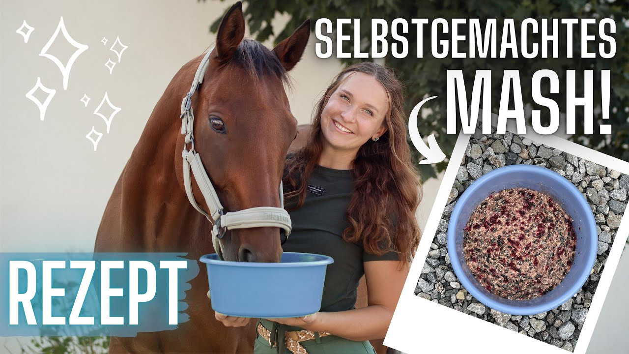 SELBSTGEMACHTES MASH- GESUND, LECKER UND EINFACH!!!