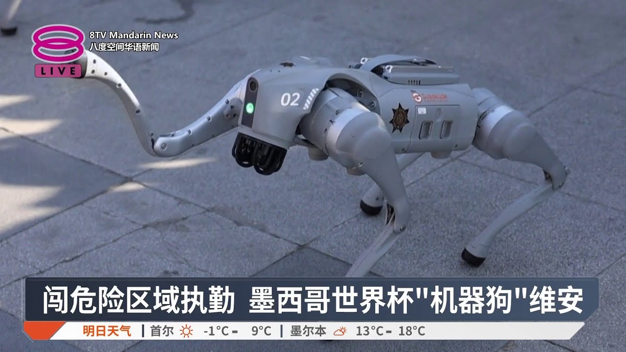 闯危险区域执勤 墨西哥世界杯“机器狗”维安【2026.02.11 八度空间华语新闻】